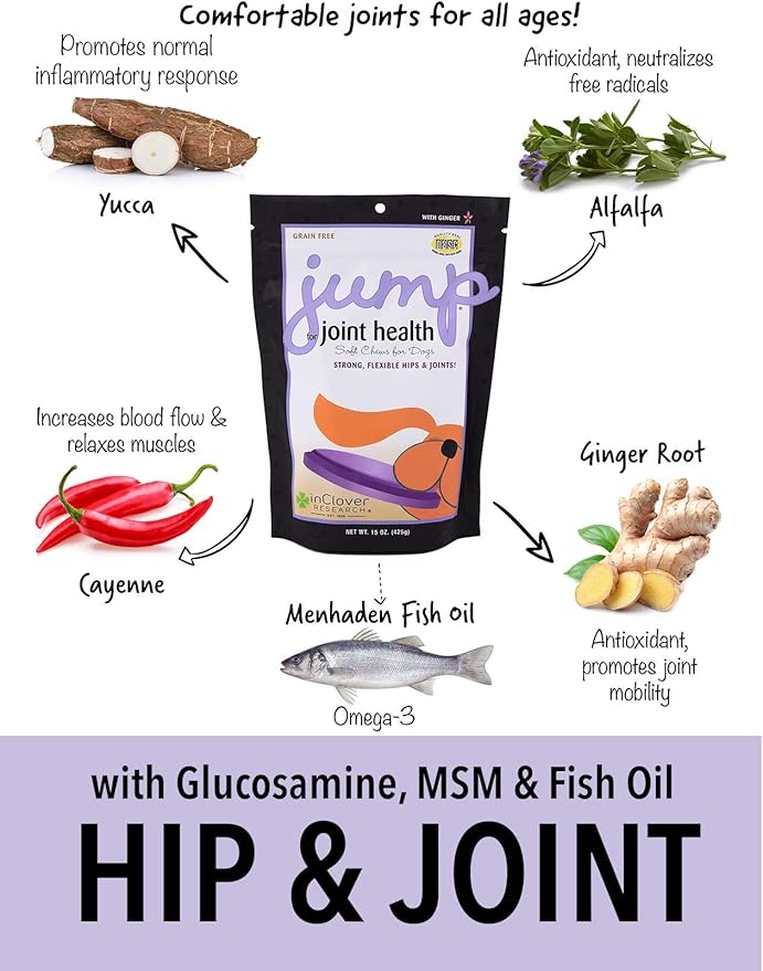 Jump Soft Chews for Daily Joint Care and Endurance Support for Dogs with Glucosamine HCl, MSM, Fish Oil, Ginger, Yucca, and Coconut Oil for All Life Stages, 5.3 oz. (30 count)