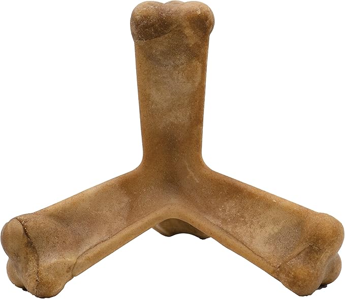 N-Bone Nbone 115097 Quado in Pumpkin, Large (575174)