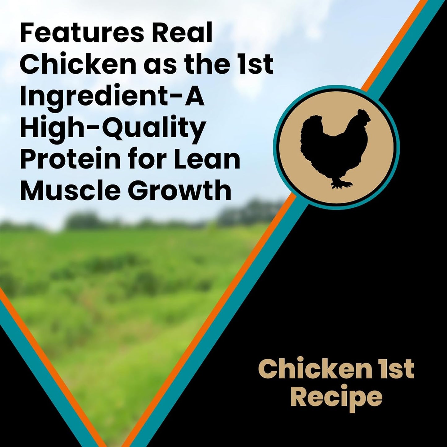 VICTOR Classic - Hi-Pro Plus Large Breed Puppy, 15-lb