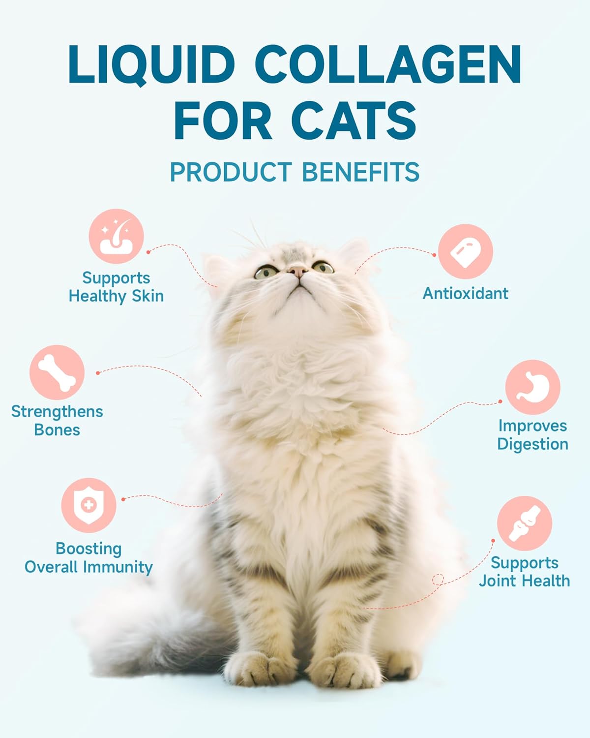 Collagen for Cats - Hip and Joint Supplement, Digestive & Immunity Support, Skin & Coat Health, Liquid Collagen for Cats with MSM, Glucosamine, Coconut Oil, Vitamin E, Roast Chicken Flavored, 60ml