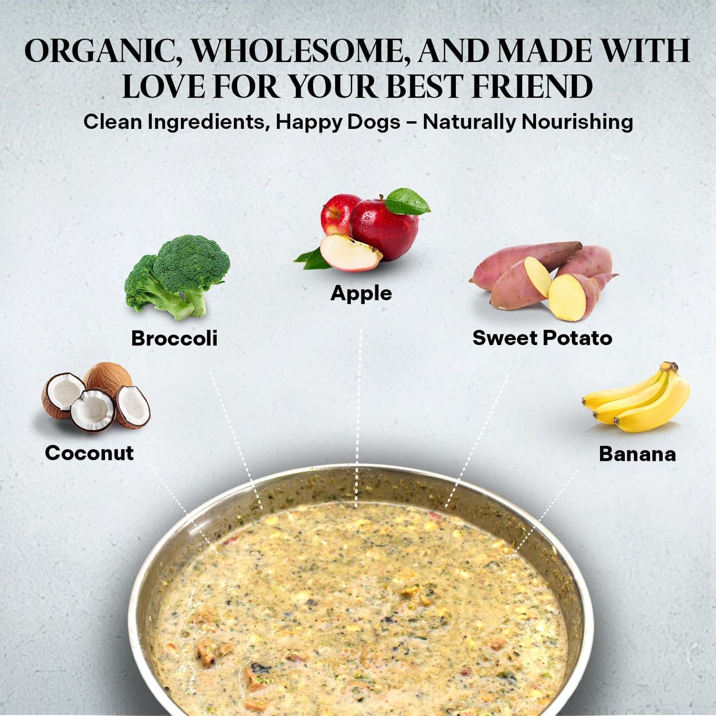 Healthy Dogma - PetMix Dehydrated Dog Food for Allergies, Joint Support & Mobility - Grain Free, Raw, Homemade Dog Food (Original, 2 lbs)