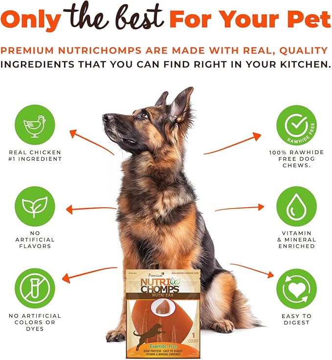 Nutri Chomps Dog Chews, Ear Shaped, Real Chicken Flavor, 1 Count, Easy to Digest, Rawhide Free Dog Treats, Long Lasting, Vitamin and Mineral Enriched