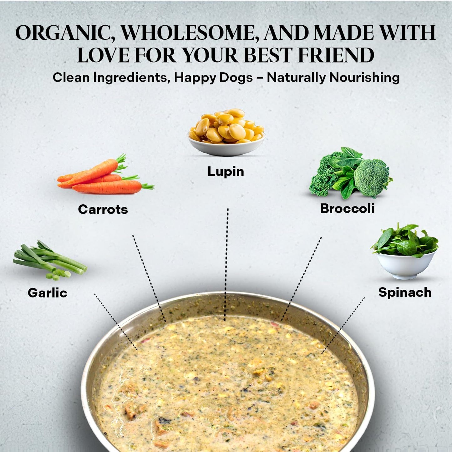 Healthy Dogma - PetMix Dehydrated Dog Food, Clean Ingredient Food - No Preservatives, Homemade Dog Food (Super Green, 10 lbs)