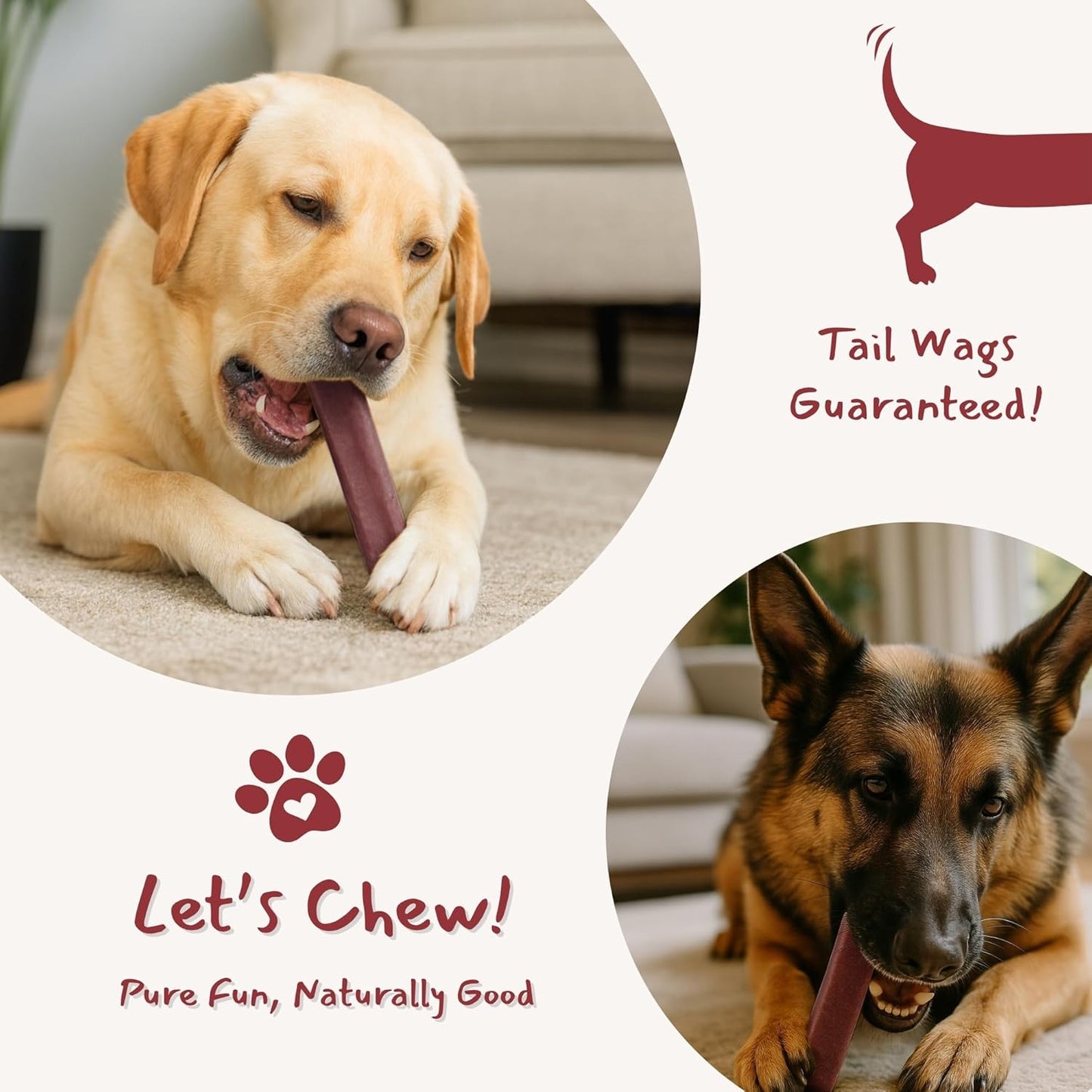 Majestic Pet Himalayan All-Natural Yak Cheese Dog Chews Made with 100% Cows Milk- Long Lasting Dental Chew for Dogs - Healthy Pet Treats (Urinary Tract Wellness, Large, 1 Pack)