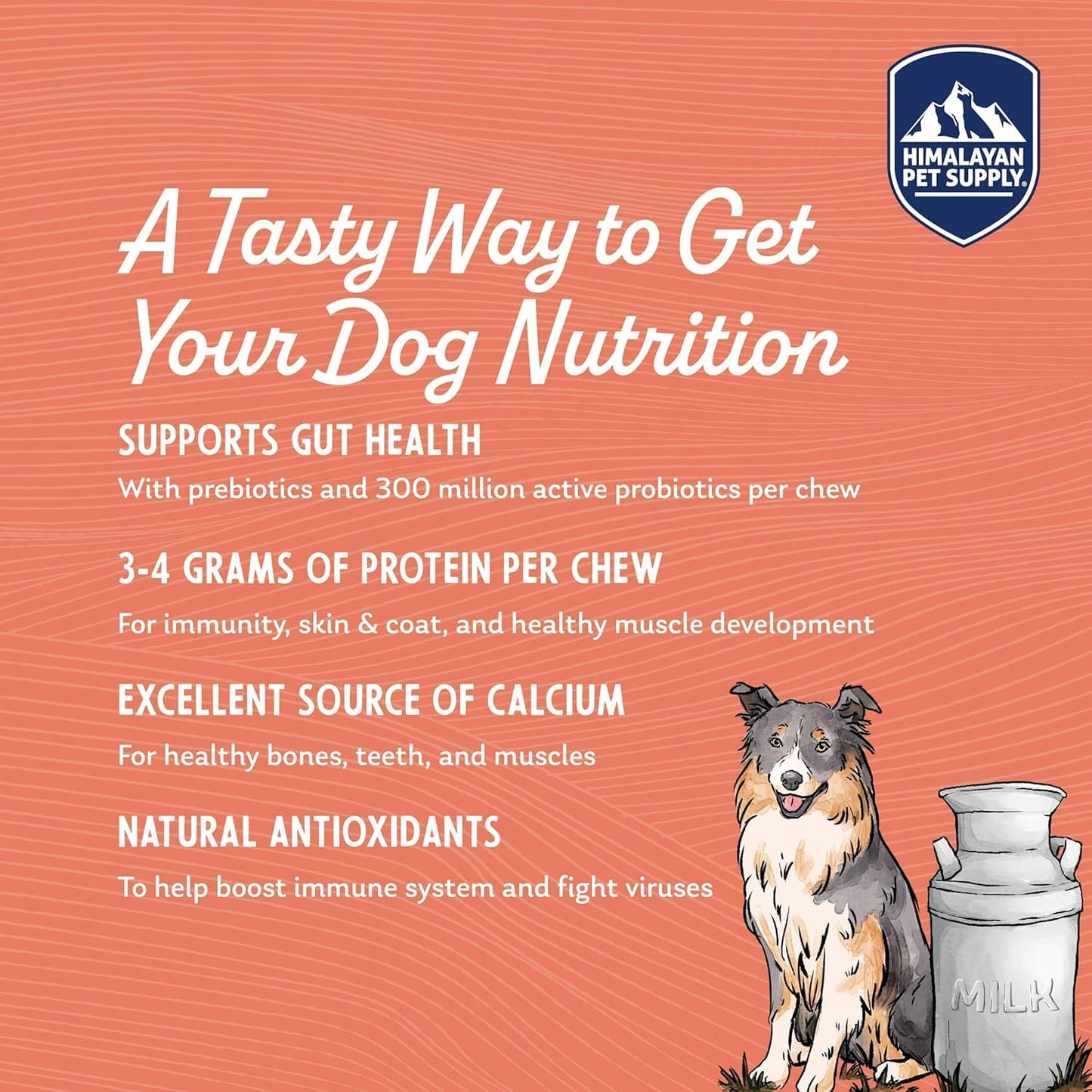 Himalayan Dog Chew Yogurt Sticks, Mixed Flavors, Dog Treats with Prebiotics, Probiotics & Protein, Digestive Support, Lactose & Gluten Free, Natural Dog Treat for All Breeds, Made in America, 4pk