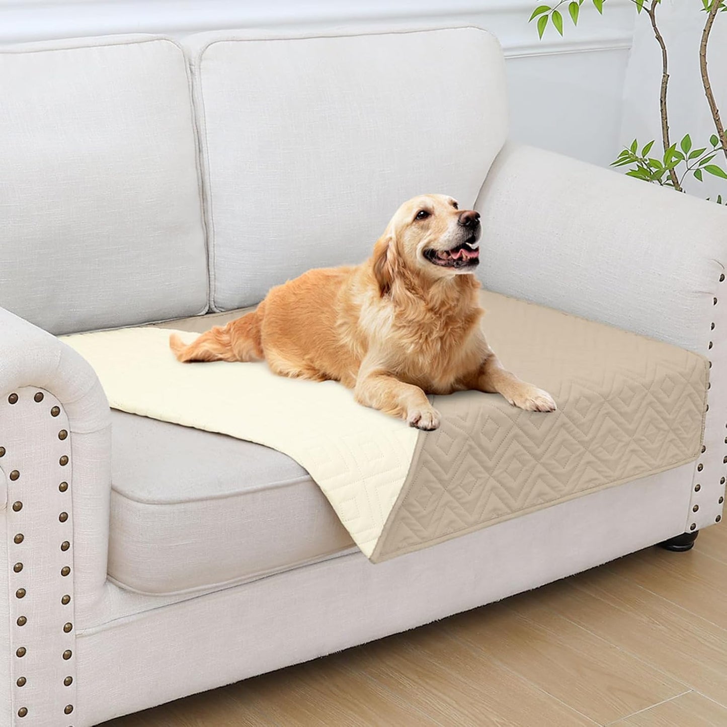 hyha Waterproof Dog Blanket, Soft Pet Bed Blankets, Waterproof Sofa Couch Cover for Dogs Washable, Reversible Pet Couch Covers for Sofa Furniture (30x53 Inch, Taupe/Beige)