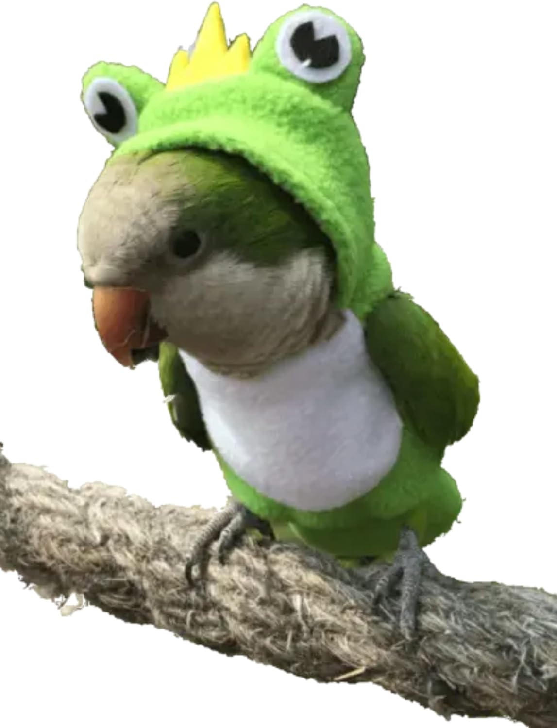 Bird Diaper Flight Suit Frog Shape Hoodie Clothes Cosplay Photo Prop for Parrots Parakeet Cockatiel Sun Conure, Small Animals Apparel (Green With Diaper, Medium)