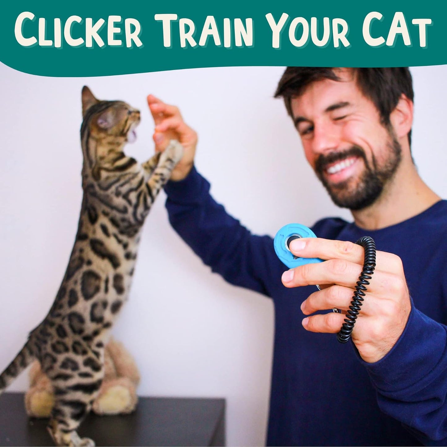 OutdoorBengal The Click Crusade Cat Clicker Training Card Game for Pet Training with Clicker - Train Cats to do Tricks, Improve Communication and Bond with Your Cat (Clicker Trainer not Included)