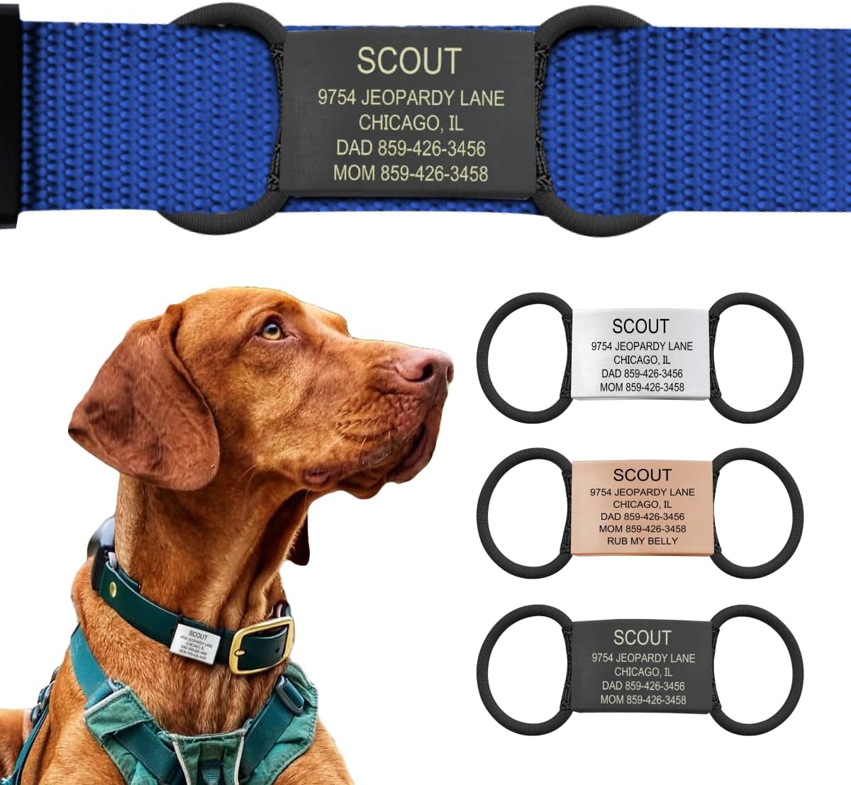 Personalized Dog Tags by ROAD iD | Silent & Durable | Jingle-Free Slide-On Design | Stainless Steel Name Tag Fits Any Collar | Multiple Colors & Sizes for Your Pet's Unique Style