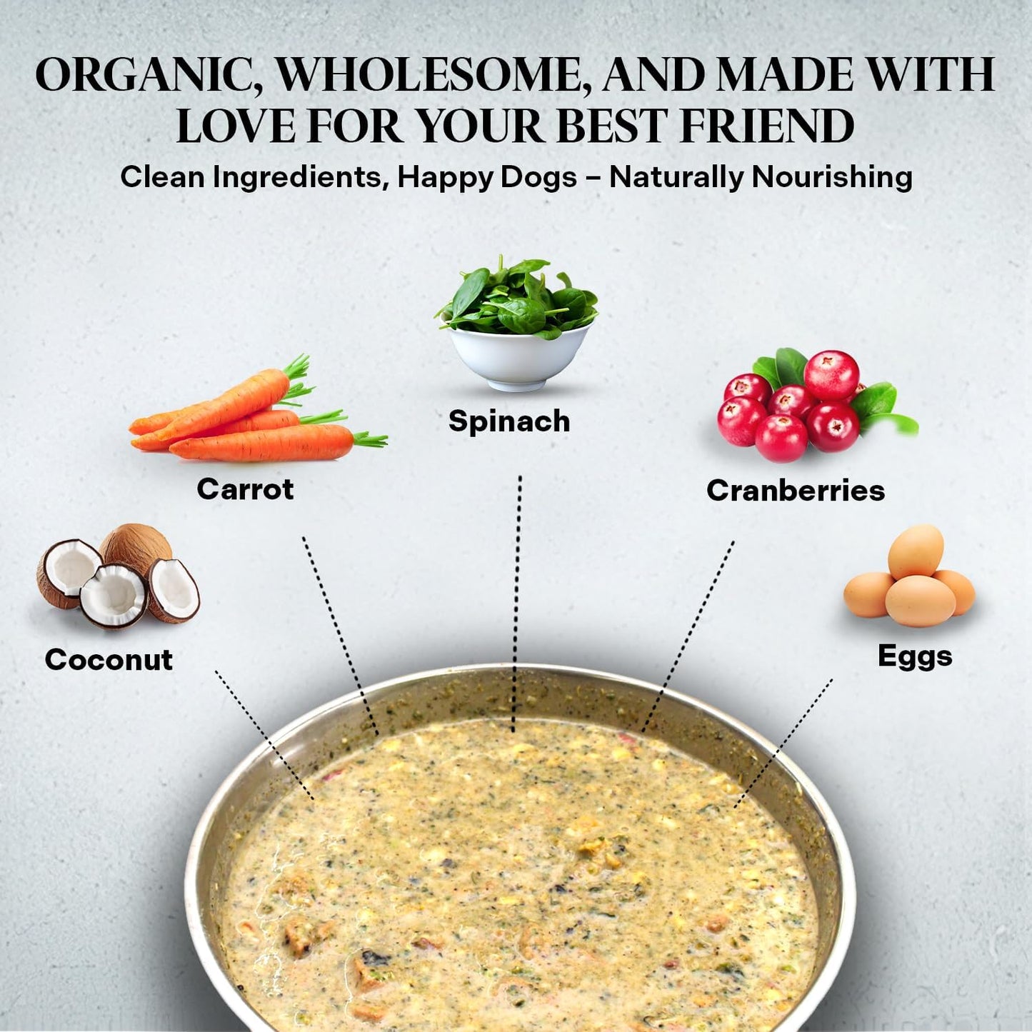 Healthy Dogma - PetMix Dehydrated Dog Food for Allergies, Joint Support & Mobility - Grain Free, Raw, Homemade Dog Food (Mobility, 10 lbs)