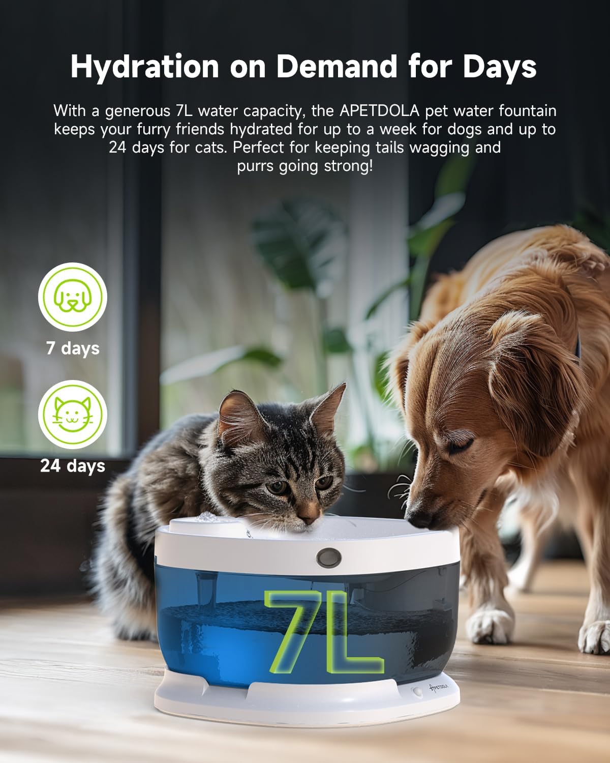 Wireless Dog Water Fountain with 50 Filter,Battery Operated Dog Water Dispenser with Motion Sensor, 237 oz/ 7L Cordless Fountain Water Bowl for Large Dogs Cat(Replacement Filter for 12 Months)