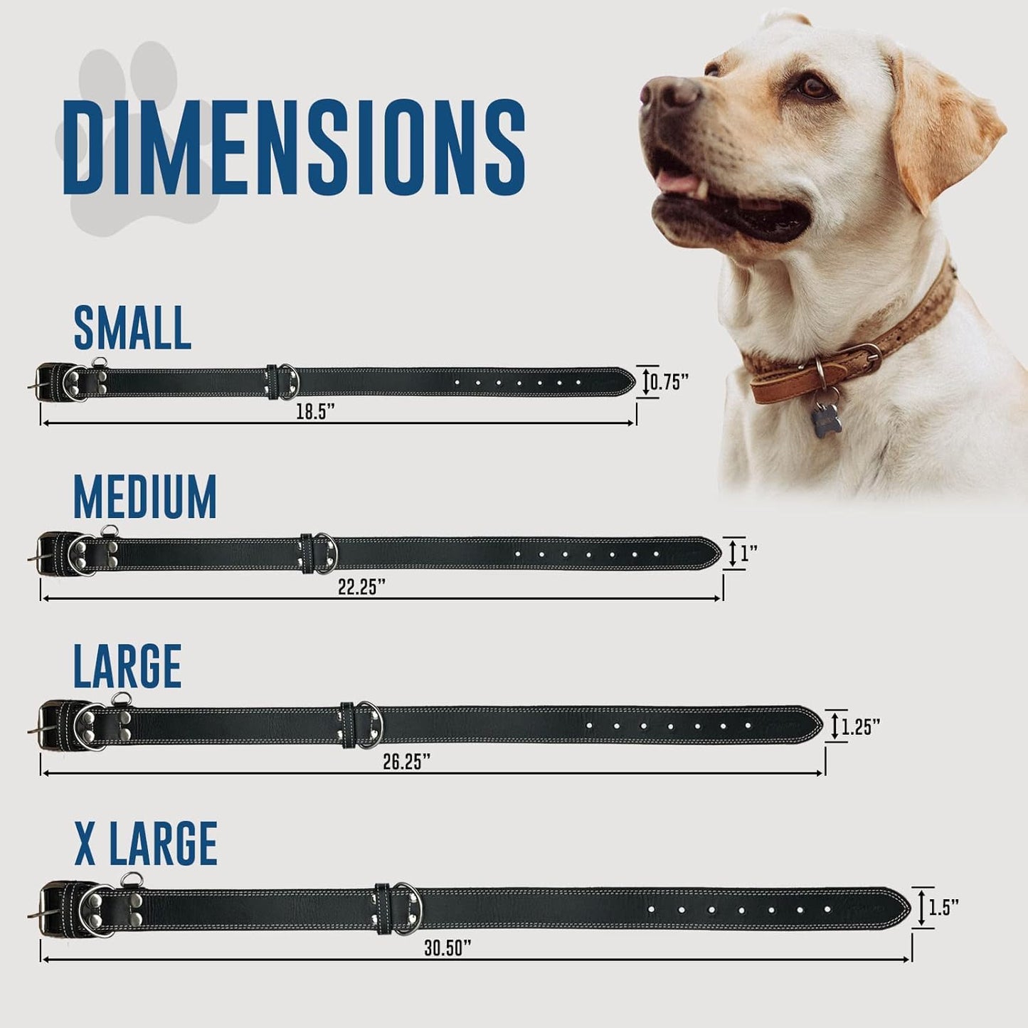 Hides & Knives Leather Dog Collar with Reinforced Hardware, Heavy Duty Dog Collars for All Breeds, Made of Top Grain Genuine Leather That is Soft & Durable (Black, XL)