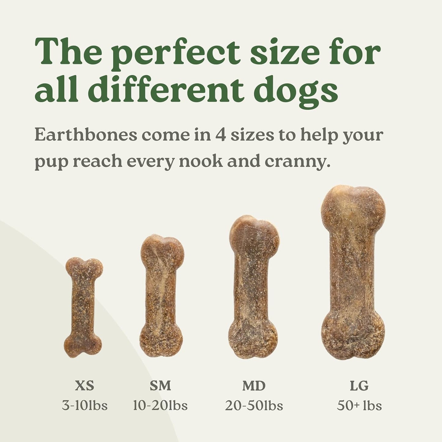 Earthbones (Formerly Terrabones) Dental Chews, Dog Teeth Cleaning Treat, Large, 6 Treats