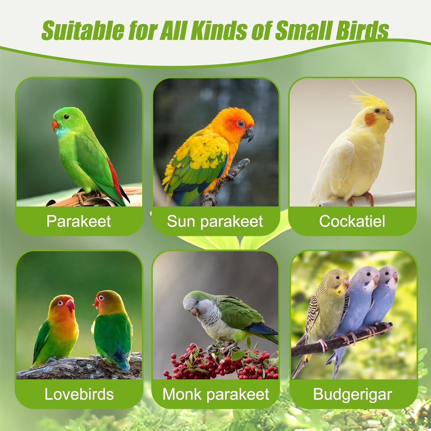 BWOGUE Automatic Bird Water Dispenser, 4.73 Fl Oz Parakeet Water Dispenser for Cage No Mess Suspended Bird Water Feeder for Cockatiel Budgie Conure Lovebirds