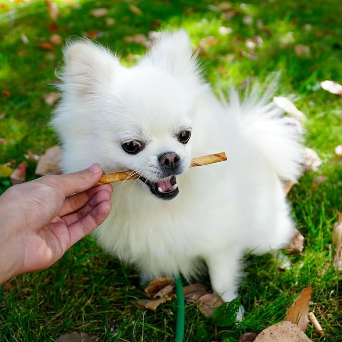 MON2SUN Dog Rawhide Twist Sticks Chicken Flavor 5 Inch Thin Sticks Rawhide Chews Treats for Puppy and Small Dogs 60 Count