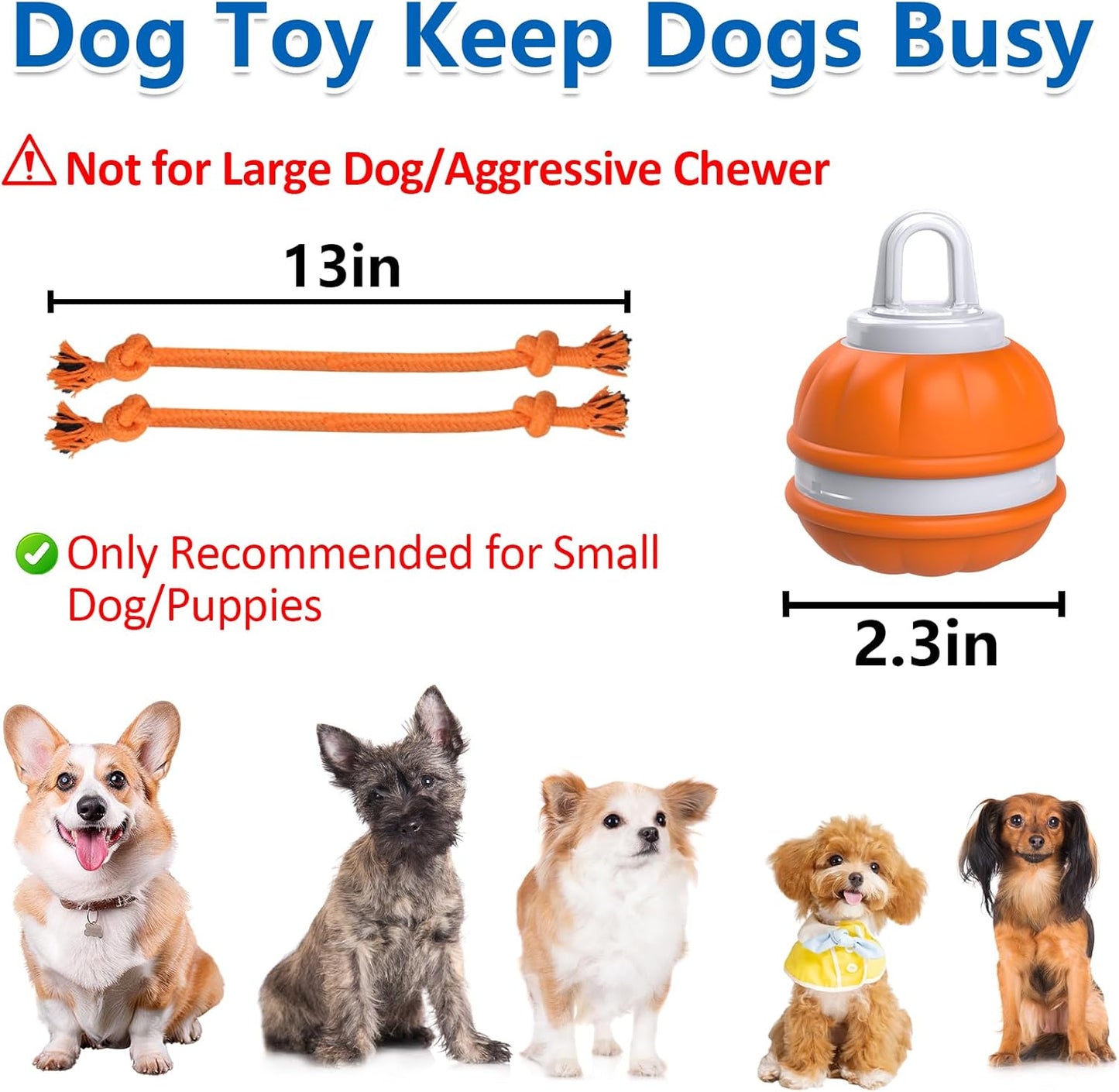 Interactive Dog Toys, Automatic Rolling Ball for Puppy/Small Dogs, Squeak Dog Toy, Touch Activated, USB Rechargeable