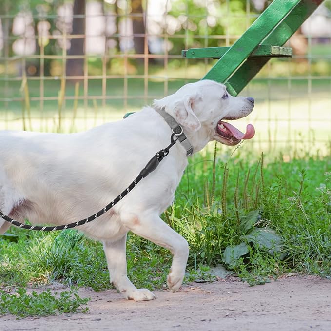 BEAUTYZOO Heavy Duty Rope Dog Leash 3 Pack, 6FT Nylon Pet Leash with Reflective Thread, Soft Padded Handle Thick Lead Strong Dog Leashes for Large Medium Dogs Small Puppy Training 6'*1/2 inch