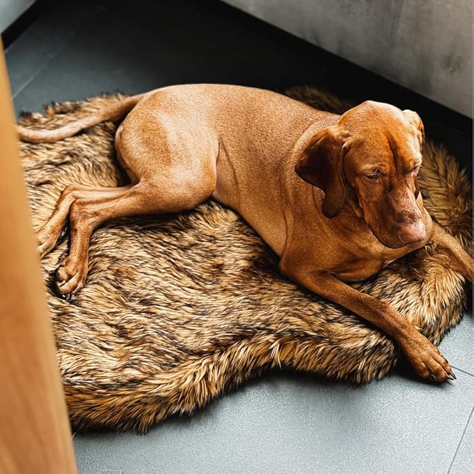 IHAPPYDOG Luxury Faux Fur Orthopedic Dog Bed, Memory Foam Dog Bed for Small, Medium, Large and XL Pets, Fluffy Pet Bed with Waterproof and Washable Cover (Brown, 50"x30")