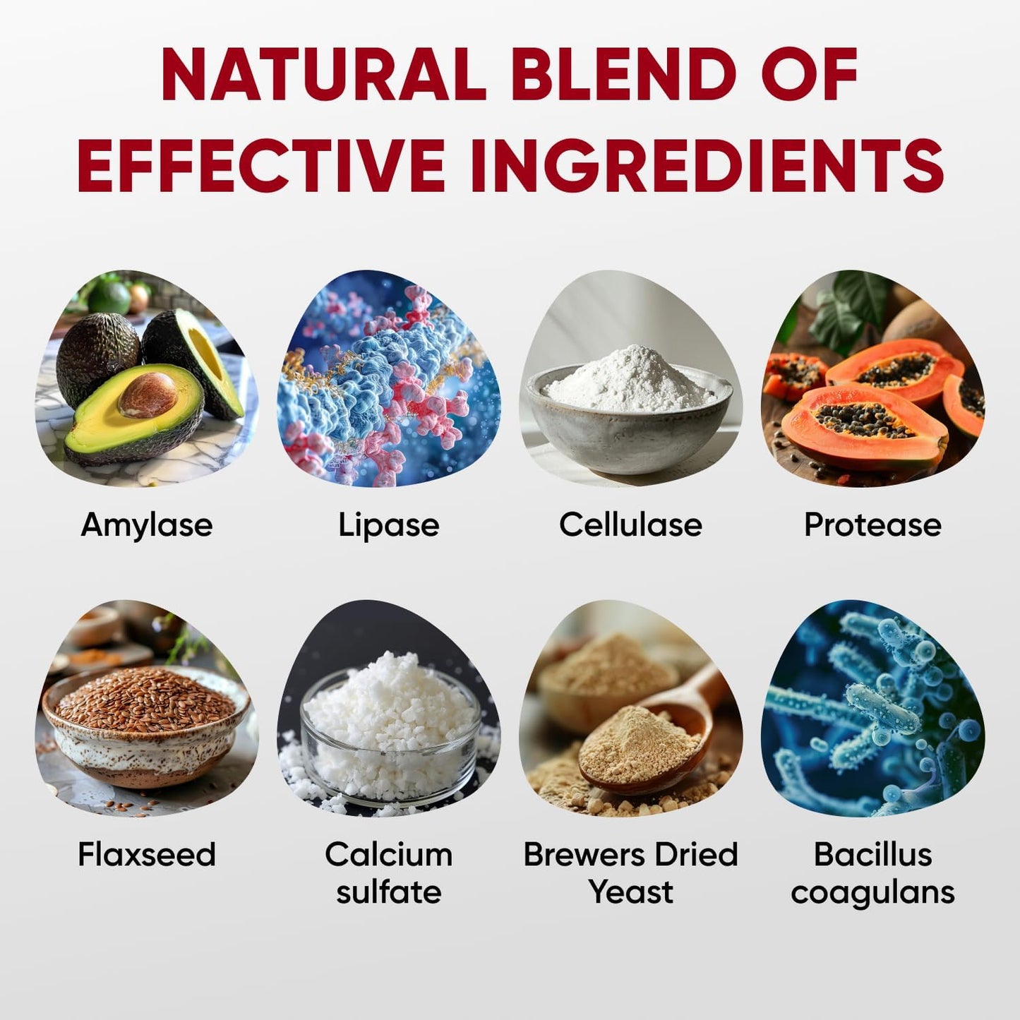 Chewable Probiotics for Dogs - Immune Support - Digestive Health - Probiotic Chews for Gut Health, Itchy Skin, Diarrhea - USA Product, Enzymes - Dog Digestive Support & Allergy Relief Chews