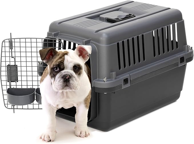 SportPet Designs Plastic Airline Approved Kennels Wire Door Travel Dog Crate, Small (No Wheels)