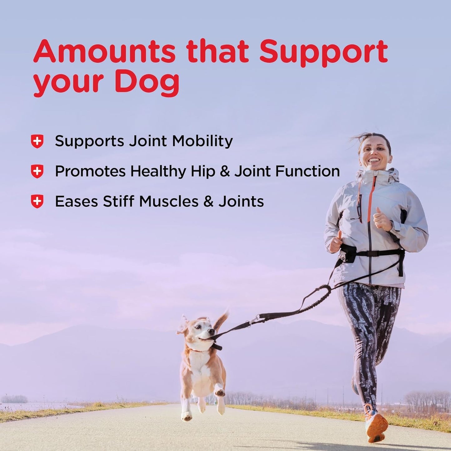 Nutri-Vet Hip and Joint Biscuits for Dogs, Large Breed Mobility Supplement, 300mg Glucosamine per Dog Treat, Supports Cartilage Flexibility and Connective Tissue, Crunchy Peanut Butter Flavor, 4lb Bag