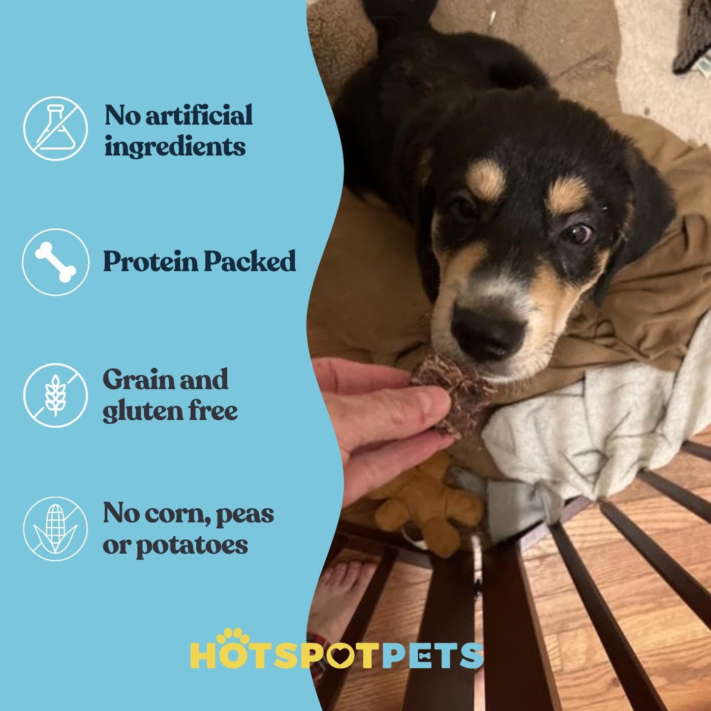 hotspot pets Beef Lung Dog Treats -1 Pound Big Bag - Slow Roasted, All Natural Dehydrated Premium Beef Lung Training Treats for Dogs - High Protein- Rawhide Alternative Snack for All Breeds