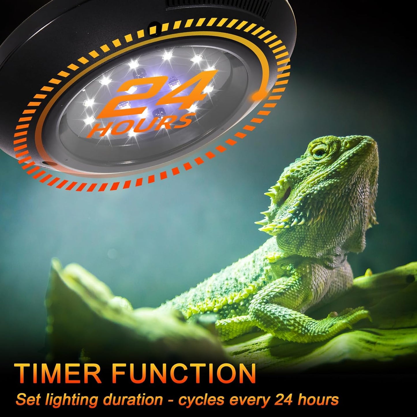 LED UVB Light for Reptiles, 8W UVA UVB Lamp – Timer Switch, Adjustable Brightness, Ferguson Zones 1-4, Energy-Efficient, UVI Lamp for Bearded Dragons, Chameleon, Lizard, Snake, Non-Heating Equipment