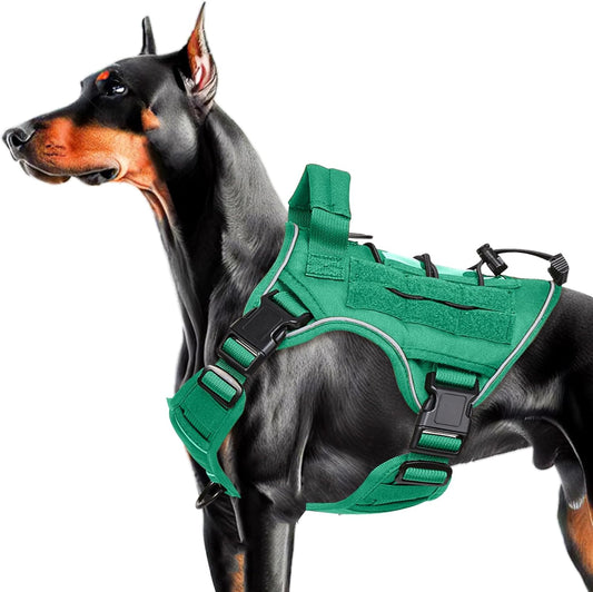Heavy-Duty Tactical Dog Harness for Large Dogs, No Pull Adjustable Reflective Pet Vest with Molle System, K9 Military-Grade Control for Service Training, Outdoor & 10+ Breeds, Turquoise, Medium