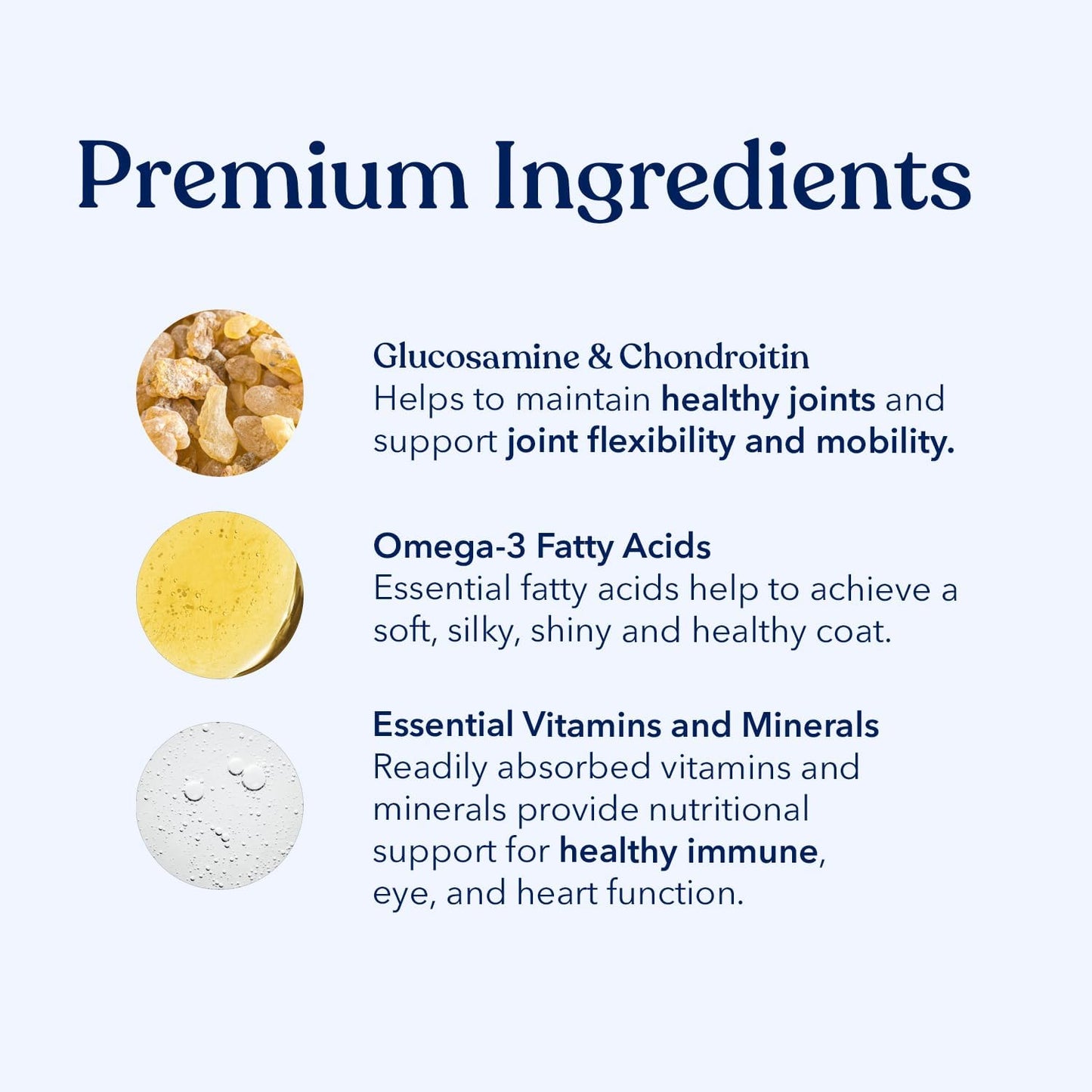 Honest Paws (90 Count) Dog Multivitamin Soft Chews with 10 Essential Vitamins - Joint, Coat, Immune, Eye & Heart Support - with Glucosamine, Chondroitin & Omega-3 - Beef Flavor