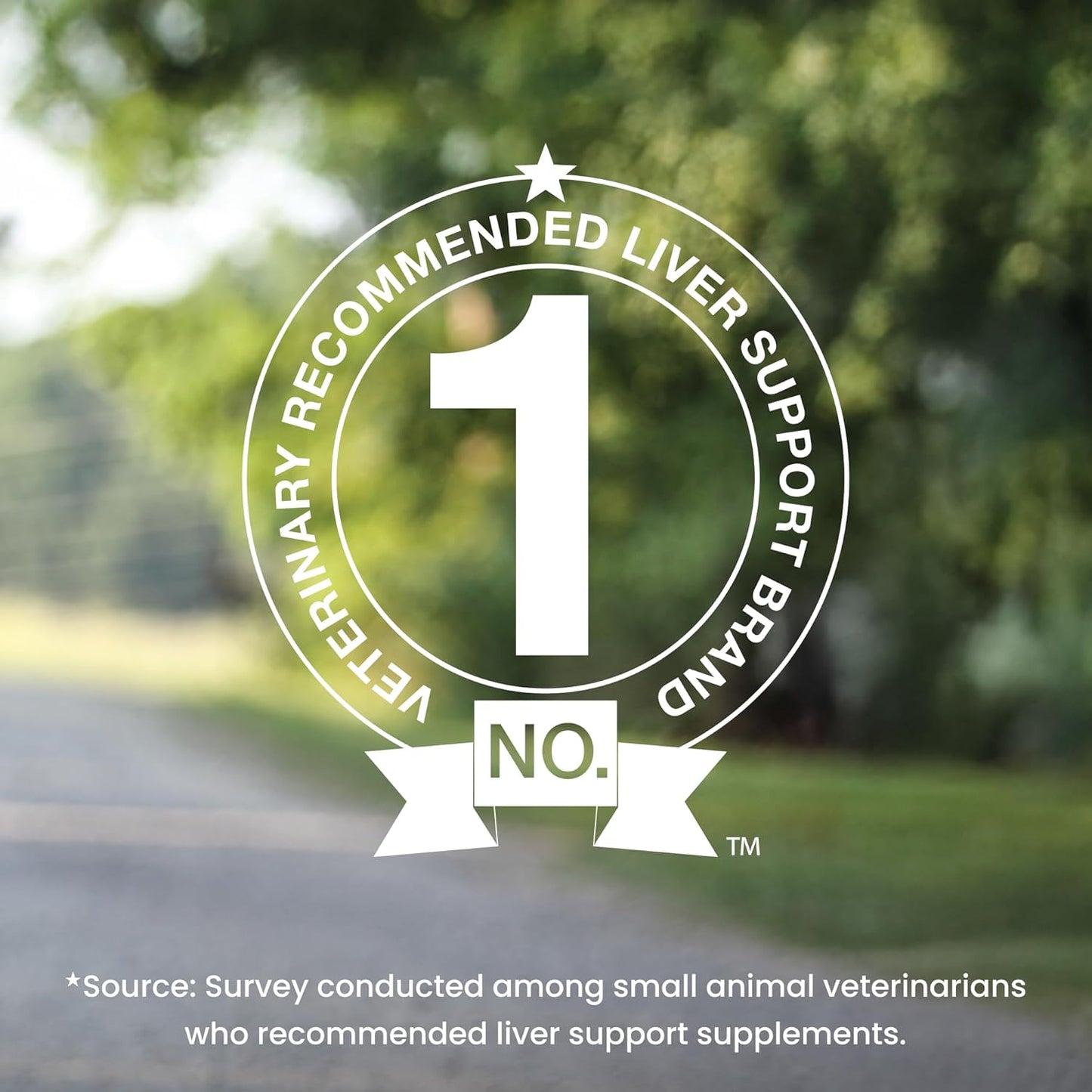 Nutramax Denamarin Liver Health Supplement for Large Dogs - With S-Adenosylmethionine (SAMe) and Silybin, 30Count(Pack of 1)