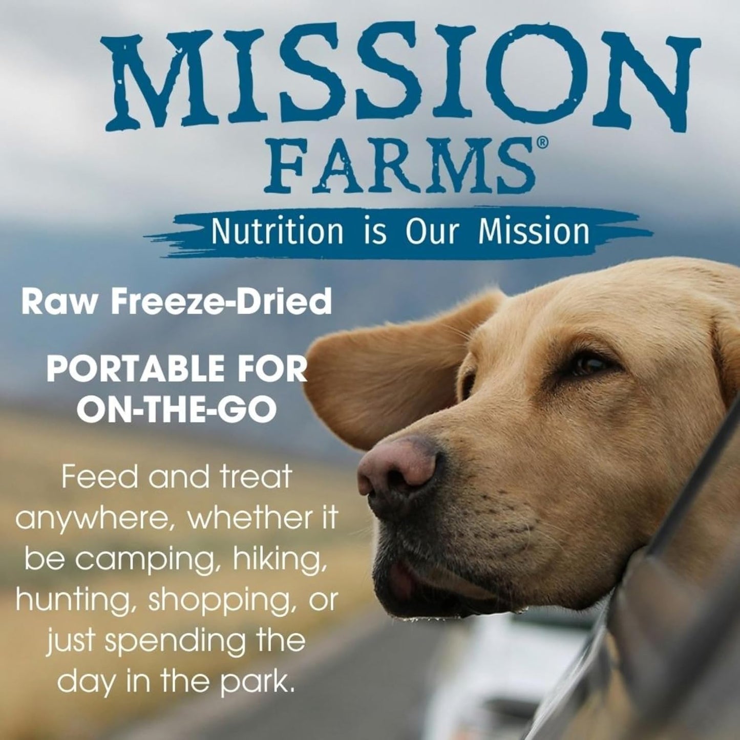 Mission Farms Wild Caught Salmon & Pumpkin Freeze-Dried Raw Dog Food Formula Complete & Balanced Meal for All Ages, 14 oz