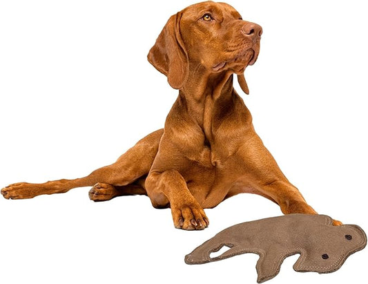 SPOT Dura-Fused Leather Buffalo Dog Toy – Durable Real Leather & Jute Chew Toy with Squeaker, Double-Stitched for Moderate Chewers, Medium & Large Dogs, 11.5in