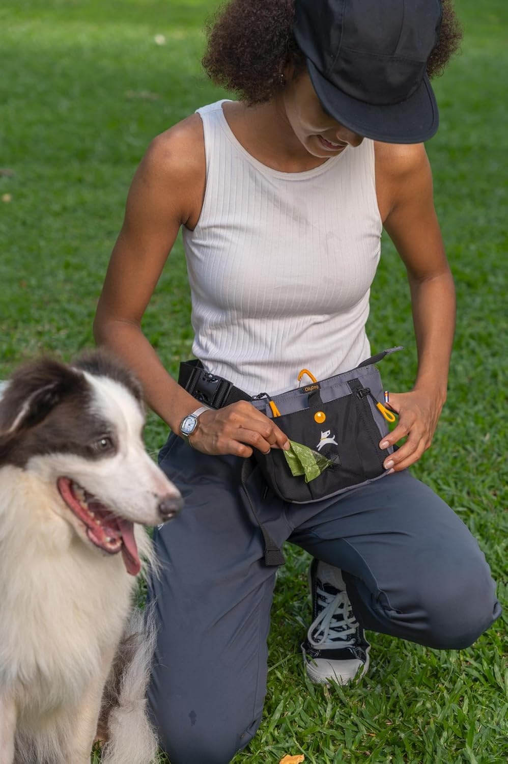 OllyDog Backcountry Day Bag | Hands-Free Dog Training Treat Pouch | Fanny/Hip Pack with Zipper Closure & Built-in Poop Bag Dispenser | Removable Waist Clip (Castle Rock)