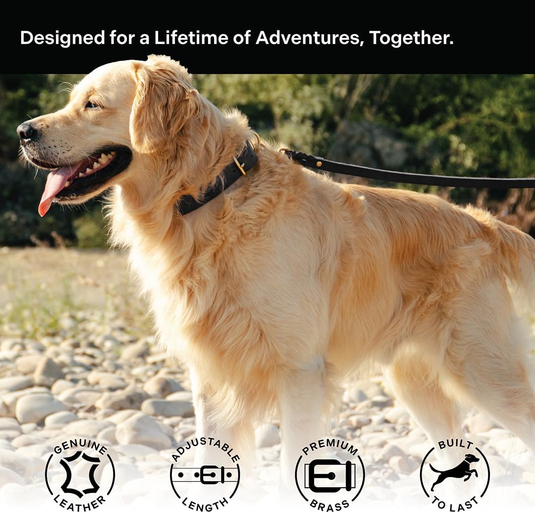 Classic Genuine Leather Dog Collar | Dog Collars for Medium Dogs, Small Dogs, Large Dogs & Extra Large Dog | Wide Dog Collar | Heavy Duty Collar (Black, Large)