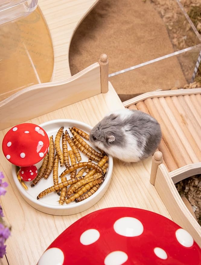 Niteangel Small Animal Snack & Treats - Small Critter Natural Treat for Dwarf Syrian Hamsters Gerbils Mice Sugar Glider Hedgehogs Chickens Birds (Dried Worms- 0.9oz (25g))