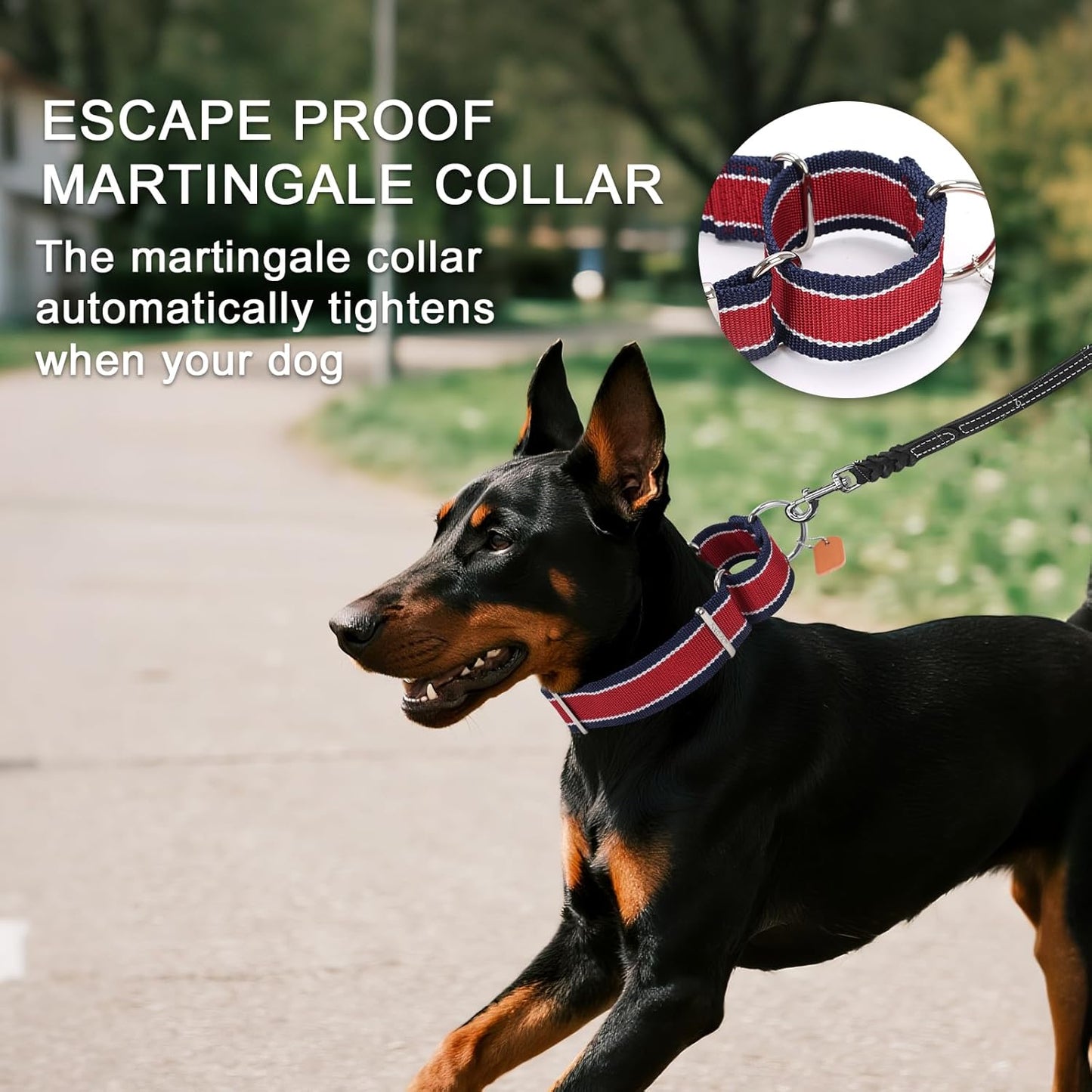 Martingale Collar 1.5 Inch Wide 1600D Extra Strong Anti Escape Nylon Dog Collar, No Pull Heavy Duty Pet Collars with 3-Color Stripe for Medium to Large Dogs (L, Khaki & Dark Brown)