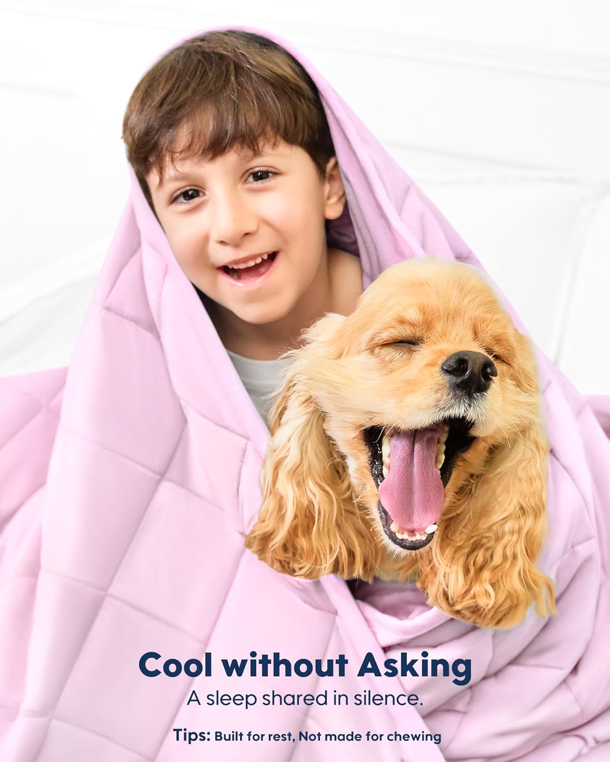 KASBAH Cooling Blanket for Dogs Waterproof Dog Blanket for Couch Bed Car Seat Washable Pet Blankets Reversible Design (Cool,Warm) Q-MAX>0.5 Dog Cooling Mat in 3 Sizes for Small, Medium & Large Dogs