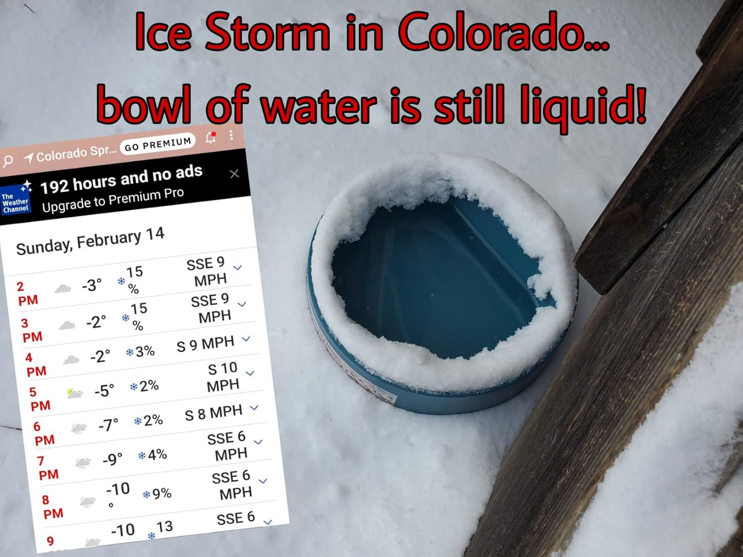 Namsan Heated Water Bowl for Cats Outdoor, 2.2L, Heated Pet Bowls for Chickens Rabbits Farm Animals, Heating Dog Bowl Ice Free in Winter, Thermal-Bowls Warm Water Bird Bath Dish, Green