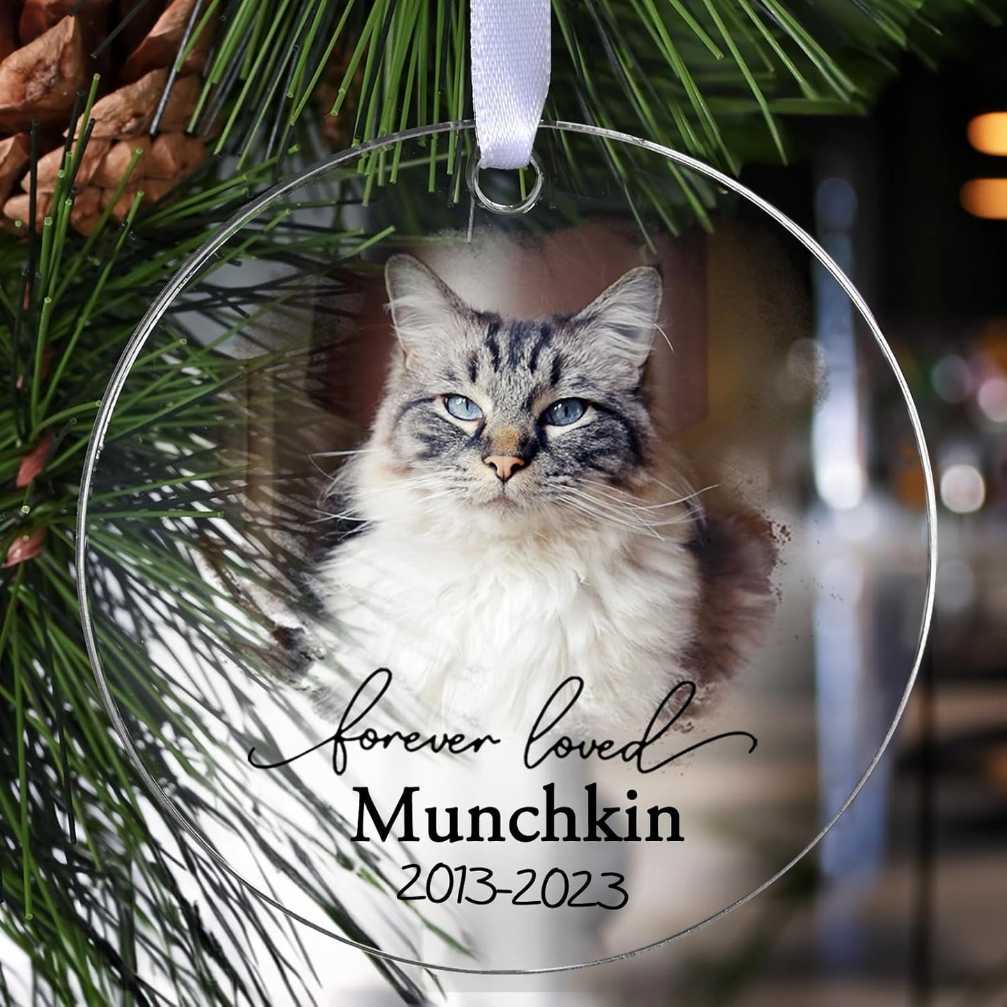 Personalized Cat Memorial Ornament, Touber Christmas Ornaments, Forever Loved Keepsake, Cats Loss Gifts, Pet Memorial Gifts, in Loving Memory of Cat - Acrylic