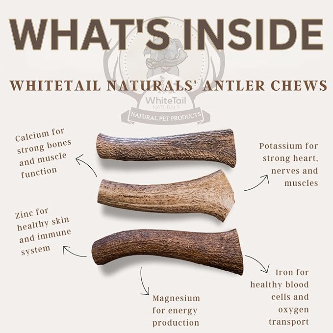 WhiteTail Naturals - Deer Antlers for Dogs - (Medium Whole- 2 Pack) - All Natural Antler Dog Chew - Naturally Shed, Long Lasting Chew Bone, Crafted in Texas