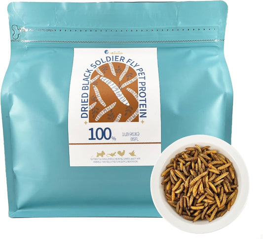 Dried Black Soldier Fly Larvae BSFL High-Protein Natural Pet Food for Lizards, Hamsters, Chickens & Ducks Pet Snack (1LB)