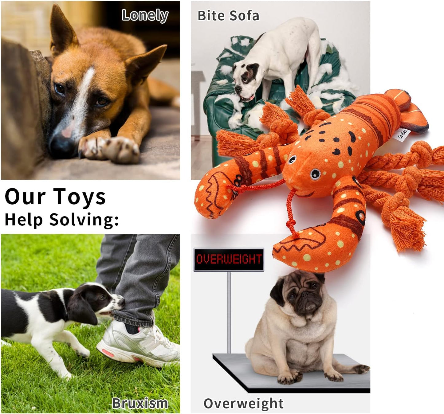 Dog Toys, Dog Plush Toy for Large Breed, Cute Squeaky Dogs Toy with Crinkle Paper, Puppy Chew Toy for Small, Middle, Large Breed (Lobster)