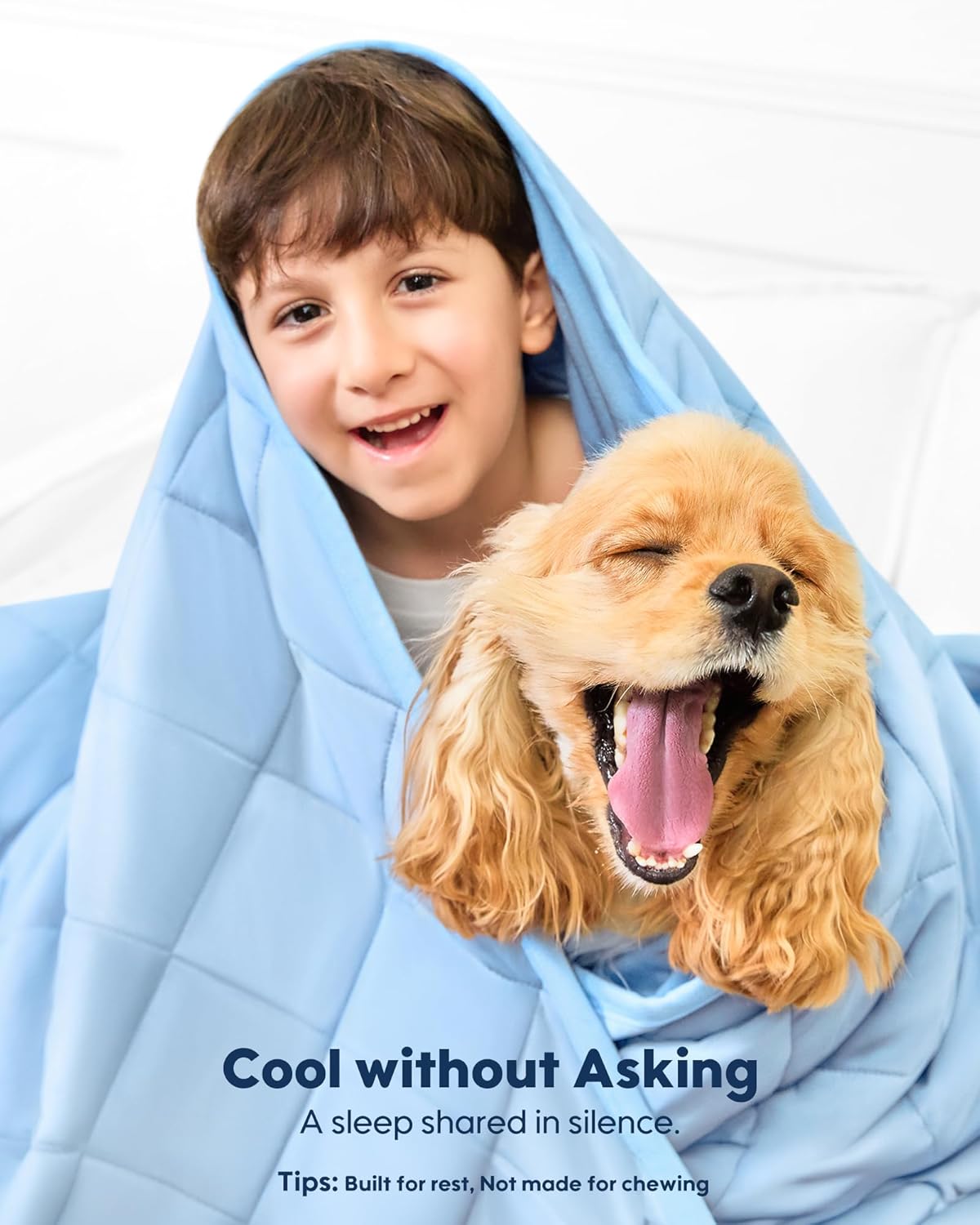 KASBAH Cooling Blanket for Dogs Waterproof Dog Blanket for Couch Bed Car Seat Washable Pet Blankets Reversible Design (Cool,Warm) Q-MAX>0.5 Dog Cooling Mat in 3 Sizes for Small, Medium & Large Dogs