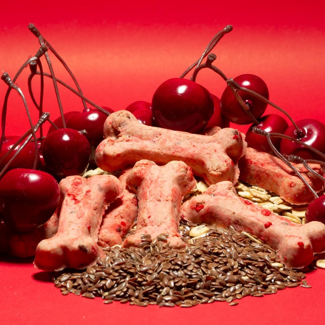 Activa 2lb Cherry Gourmet Dog Biscuits | Crunchy Dog Treats | (Medium, Cherry)