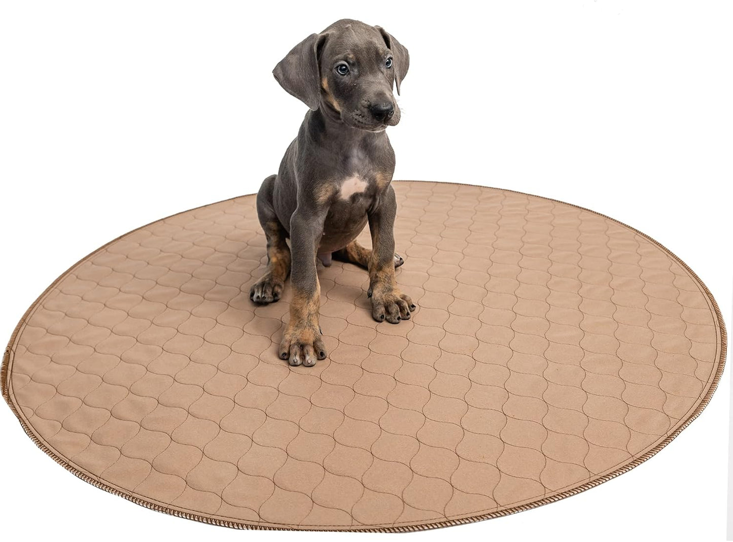 EZwhelp Reusable Dog Pee Pad, Washable Waterproof Mat for Dog Potty Training or Whelping Pad, Round, 36 Inch