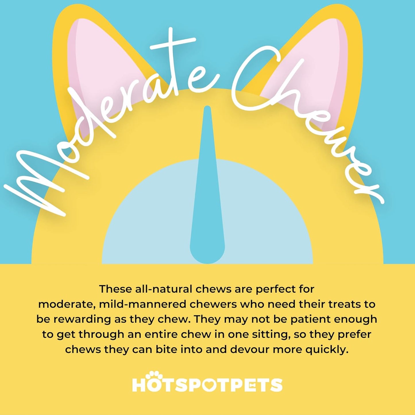 hotspot pets Curly Spring Bully Sticks for Dogs - (12 Pack) Premium All Natural Long Twisted Beef Pizzle Dog Chew Treats - Grain Free Fully Digestible Rawhide Alternative - 6 Inch Stix