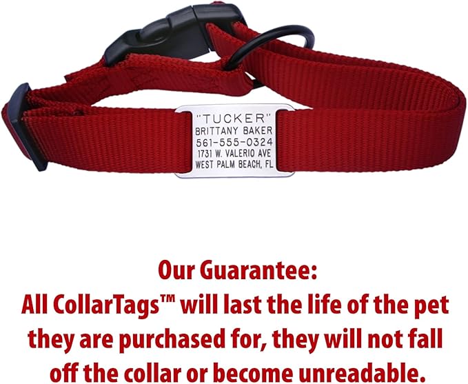 Boomerang Tags Dog Tags Personalized for Pets - Will Last Your Pets Lifetime - Dog Name Tag, Custom Dog Tags, Pet Tag, Quiet Engraved Stainless Steel (Open End Medium for 3/4 Inch Snap Style Collars)