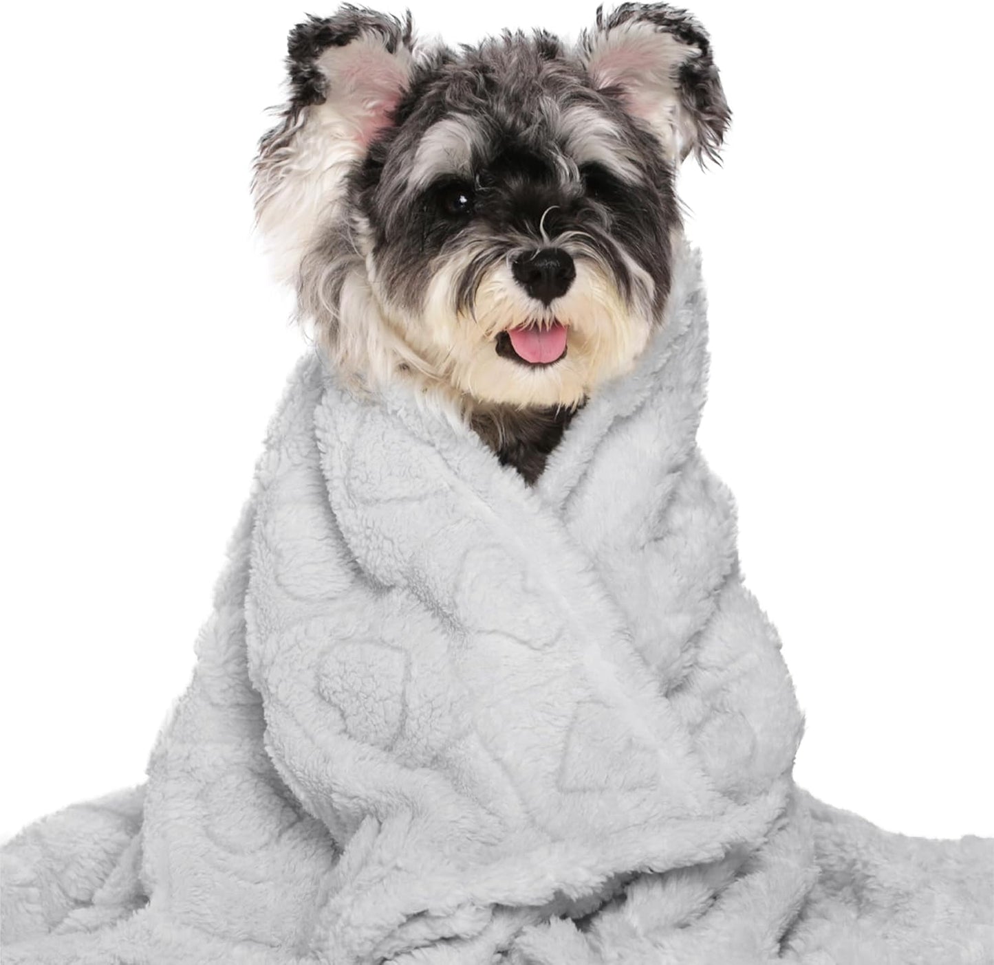 gogobunny Calming Plush Dog Cat Blanket 300GSM Coral Fleece, Ultra-Soft Machine Washable Pet Bedding for Small Medium Dogs Cats Puppies Kittens (Silver, 30x40)