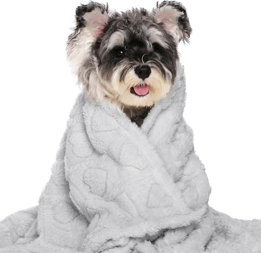 gogobunny Calming Plush Dog Cat Blanket 300GSM Coral Fleece, Ultra-Soft Machine Washable Pet Bedding for Small Medium Dogs Cats Puppies Kittens (Silver, 30x40)