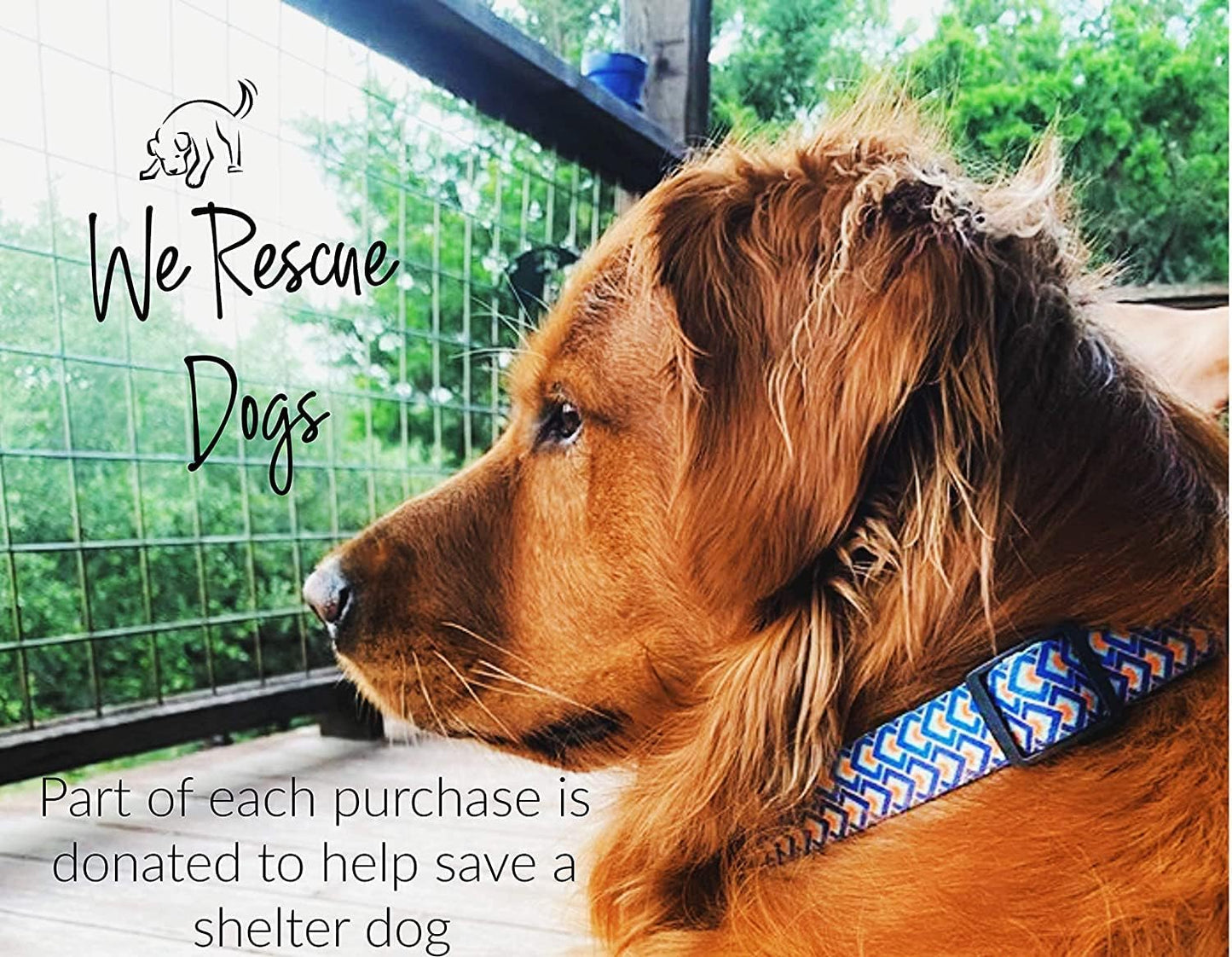 Lucky Love Dog Collars, Comfortable, Soft, Cute Dog Collar for Small Medium Large Dogs, Murphy, X-Small